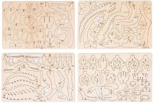 Vier 3D-Dinosaurier-Puzzles aus Holz. Bauen Sie diese lustigen 3D-Holzpuzzle-Bausätze zusammen!