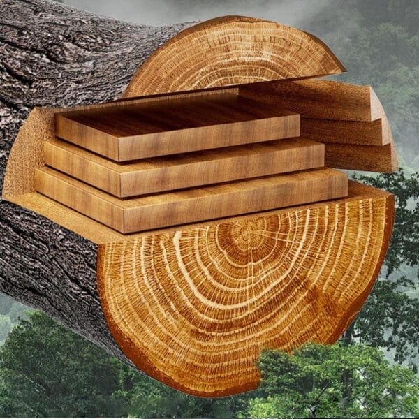 Querschnitt eines Baumstamms mit Brettern aus runden, umweltfreundlichen Holzschneidebrettern.